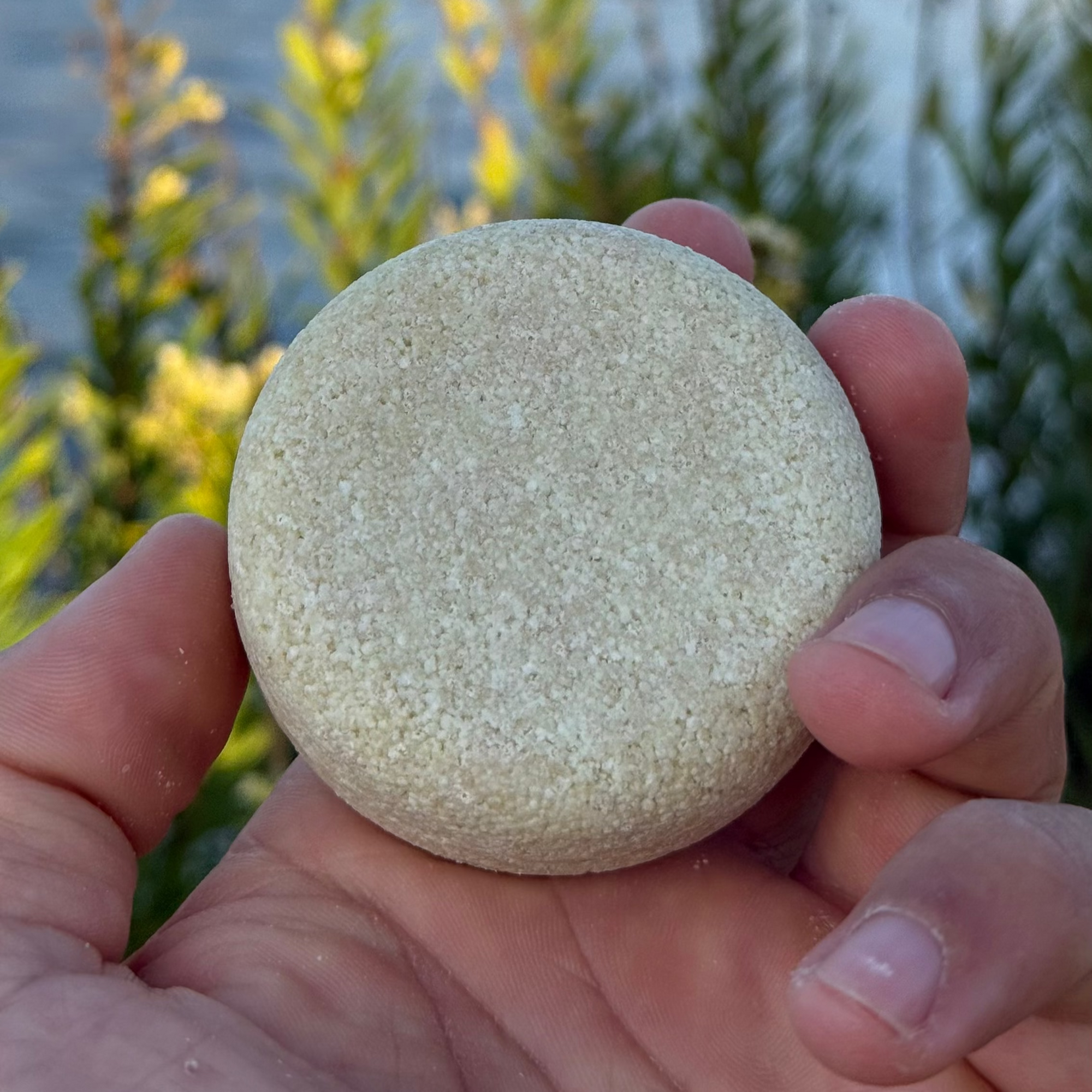 agarre de champu solido natural de amodinho para cabellos secos con fondo de playa